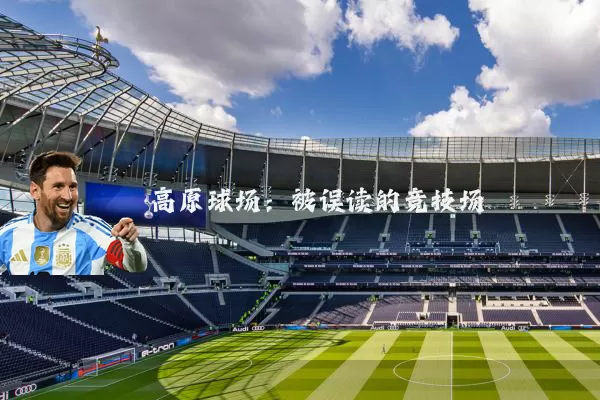 高原球场:被误读的竞技场